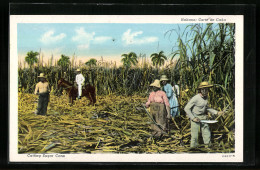 AK Habana, Corte De Cana, Cutting Sugar Cane  - Non Classés