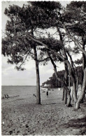 CPSM FRANCE 17 CHARENTE-MARITIME RONCE-LES-BAINS - En Flanant Sur La Plage - 1957 - Otros & Sin Clasificación