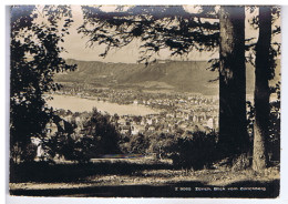 SUISSE - ZURICH - Blick Vom Zürichberg  - Verlag Beringer & Pampaluchi - N° Z 9065 - Zürich