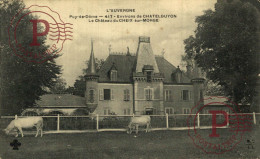 FRANCIA. FRANCE. CHATELGUYON . Environs De CHATELGUYON - Le Chateau Du Cheix Sur Morge - Châtel-Guyon
