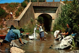 K0605 - NAZARÉ - Lavadeiras - Lavant Le Linge - Carte Semi Moderne - Sonstige & Ohne Zuordnung