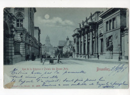 448 - BRUXELLES - Rue De La Régence Et Palais Des Beaux-Arts *carte Dite "à La Lune"*1898* - Bruxelles La Nuit