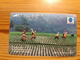 Phonecard Indonesia - Indonesien