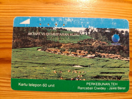 Phonecard Indonesia - Perkebunan Teh - Indonesia