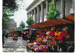 Paris Marché Aux Fleurs - Other & Unclassified