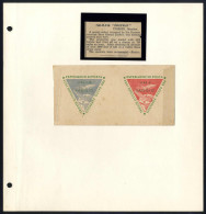 **/cover/(*) 1934/1950, Due Vignette Nuove Con Gomma Integra E Due Saggi Non Gommati E Tre Lettere Del 1934, Inoltre Tre - Ohne Zuordnung