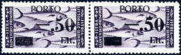 ** 1946, "PORTO" E -.50 L. Su 20 L. Violetto, Coppia Orizzontale Con Tassello Del III Tipi E Con Soprastampa In Caratter - Ocu. Yugoslava: Istria