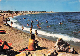 66  - ARGELES Sur MER - Vue D'ensemble De La Plage Prise Du Racou - Argeles Sur Mer