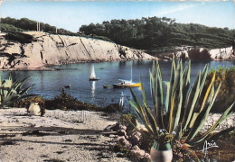 83 - Var - SANARY - La Gorguette - Calanques De Beaucours - Sanary-sur-Mer