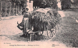 45 - Loiret -  CHANGY-les-BOIS: Attelage De Chien - Autres & Non Classés