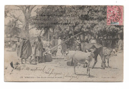 Postcard Senegal Escale Pendant La Traite Native People Animals Undivided Posted 1904 French Colonial Stamp - Senegal