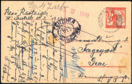 Cover 1919, Kettenspringerganzsache 10 Vin Rot Von Windisch-Feistritz Am 11.3. Nach Graz, Zensiert, Schräger Bug Rechts  - Slovenia