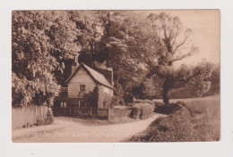 ENGLAND - Reigate Park Sane Unused Vintage Postcard - Surrey