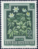 ** 1948, "Heimische Blumen" 20+10 Gr. Mit Stark Verschobenem Gelbdruck, Postfrisch (ANK. 878 FIII, € 600) - Sonstige & Ohne Zuordnung