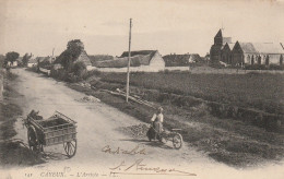 L'ARRIVEE - Cayeux Sur Mer