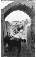 Carte Photo D'un Homme S'occupant D'ane Dans Les Rue De Santorin - Anonieme Personen