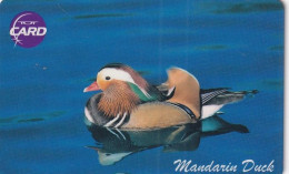 THAILAND(chip) - Mandarin Duck, TOT Telecard 50 Baht, Exp.date 12/06, Used - Thailand