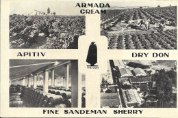 Cpa Vin Espagnol Armada Cream Fine Sandeman Sherry - Weinberge