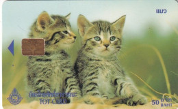 THAILAND - Cats, TOT Telecard 50 Baht, Exp.date 11/03, Used - Tailandia