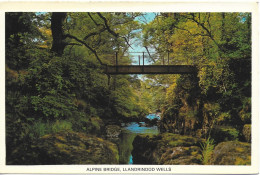 ALPINE BRIDGE, LLANDRINDOD WELLS, POWYS, WALES. UNUSED POSTCARD   My1 - Radnorshire