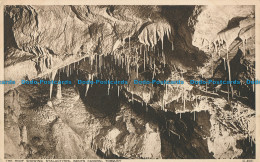 R028304 The Roof Showing Stalactites. Kents Cavern. Torquay. Photochrom. No C.49 - Mondo