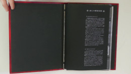 O Liechtenstein 1959/2010 Ca., Zwei Einsteckbücher Mit Gestempelten Dublettenmaterial, Yvert Ca. 10.000.- , Abbildungen  - Other & Unclassified