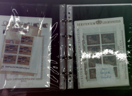 ** Liechtenstein Nominalposten Ab 1965, Meist In Kleinbögen, Nominale Ca. 2000 Franken - Altri & Non Classificati