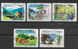 France 2009 Oblitéré Autoadhésif   N°  292  - 295 - 296 - 299 - 301    "   Flore Des Régions   " Flore Du Nord - Used Stamps
