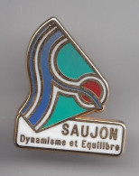 Pin's Dynamisme Et Equilibre Saujon En Charente Maritime Dpt 17  Réf 3602 - Città