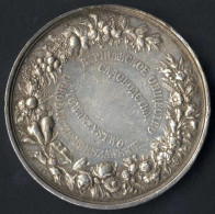 Medaille Der Warschauer Gartenbaugenossenschaft, Gartenbauausstellung Warschau 1895, Silbermedaille Von L. Steinman, Gep - Poland