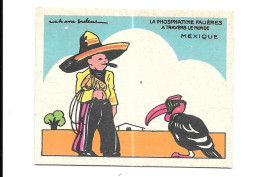 AV22 - IMAGES PHOSPAHTINE - LE MEXIQUE - TOUCAN - Other & Unclassified