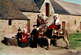 K0605 - La NORMANDIE - Auprès Du Tour à Pommes - Carte Semi Moderne - Basse-Normandie