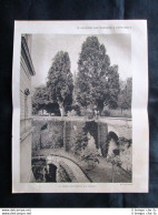 Palazzo Farnese A Caprarola: Giardino E Fossato + Concilio Stampa Del 1928 - Andere & Zonder Classificatie