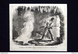 Il Robinson Dell'Artico - Racconto Dell'Oceano Polare #5 Incisione Del 1868 - Avant 1900