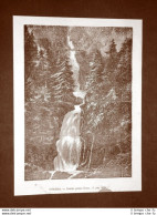 La Cascata Di Berna O Bern Nel 1866 Svizzera - Avant 1900