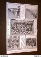 Guerra Russia Giappone 1904 Esercito Giapponese Torpediniera Strakny Distrutta - Autres & Non Classés