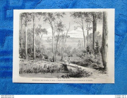 Gravure Année 1861 - Defrichement à Dalry - Disboscamento A Dalry - Antes 1900