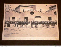 1904 Giovani Della Virtus Di Bologna Al Concorso Federale Ginnastico Di Firenze - Altri & Non Classificati