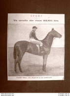 Il Cavallo Minoru Nel 1909 Di Proprietà Di Re Eedoardo VIII 162.500 Lire - Altri & Non Classificati