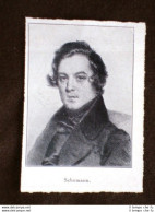 Compositore Robert Alexander Schumann Di Zwickau - Altri & Non Classificati