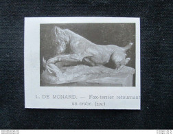 L. De Monard - Fox Terrier Rivolta Un Granchio Stampa Del 1909 - Other & Unclassified