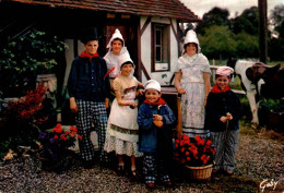 K0605 - La NORMANDIE - Costume Et Coiffes De La Région De LISIEUX - Carte Semi Moderne - Basse-Normandie