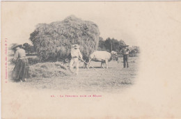 42-La Fenaison Dans Le Béarn - Voyagée En 1901 - Andere & Zonder Classificatie