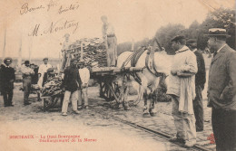 Bordeaux, Le Quai Bourgogne, Déchargement De La Morue - Cheval - CCCC - Other & Unclassified