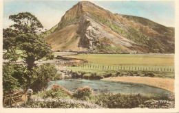 Wales Towyn Bird Rock - Other & Unclassified