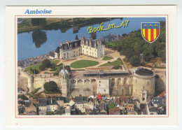 {91979} 37 Indre Et Loire Amboise , Le Château Royal Dominant La Loire - Amboise