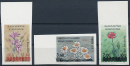 Mi 314-316 B ** MNH / Native Flora, Flowers, Imperf, Overprint, Gagea Salis, Chrysanthemum Leontopodium, Tulipa Greigii - Kirghizstan