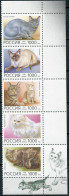 RUSSIA - 1996 - BLOCK OF 5 STAMPS MNH ** - Cat Breeds - Unused Stamps