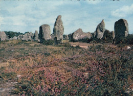 Carnac (Bret.) Les Alignements Du Carnac Ngl #E0611 - Carnac