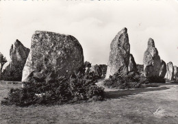 Carnac (Bret.) Alignements De Kermario Ngl #E0608 - Carnac